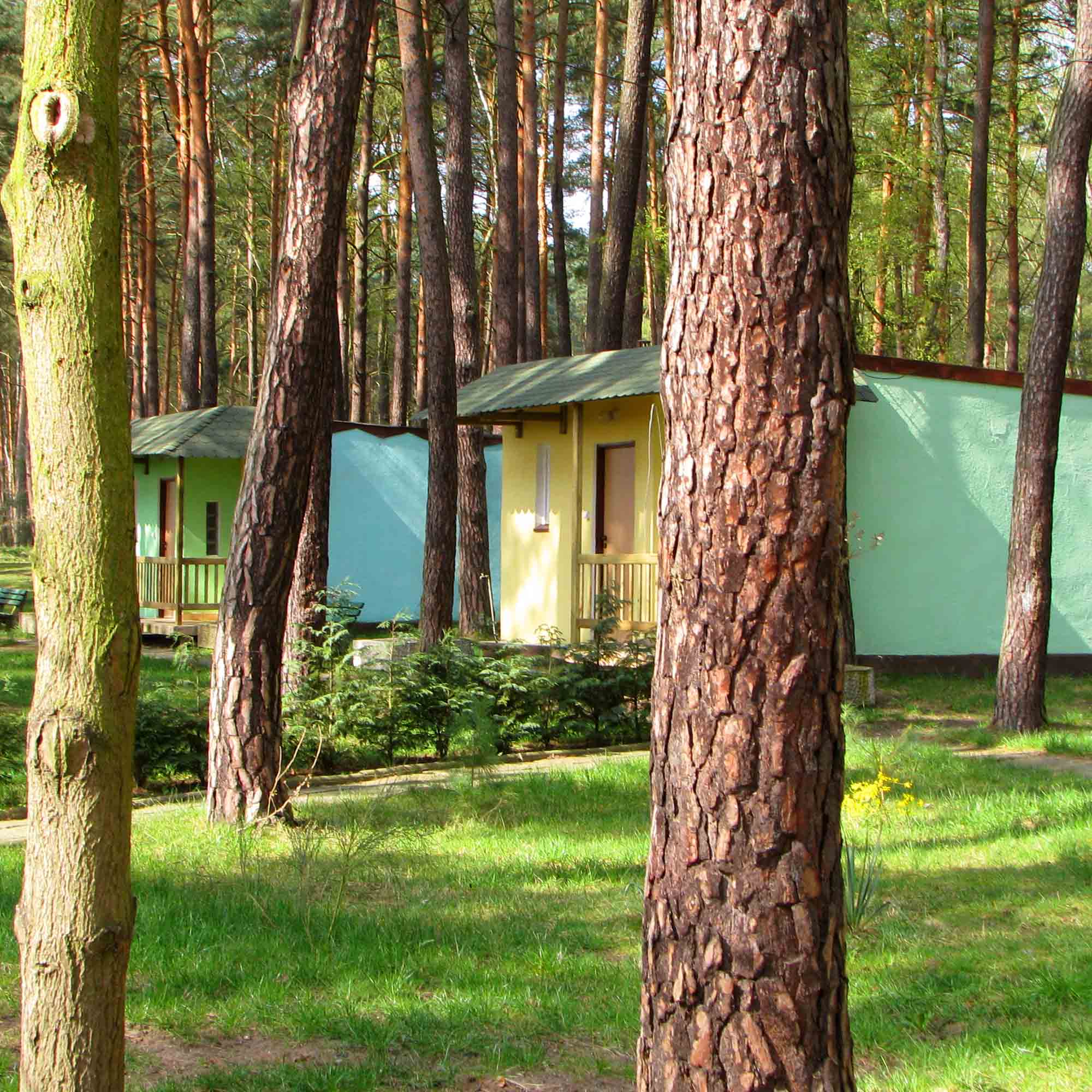 Tereny rekreacyjne ośrodka — kort, boisko, sosnowy las